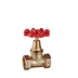 Brass Globe Valve (Red Regular Handwheel, 1/2 Mark)